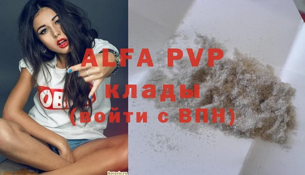 Альфа ПВП Каменногорск