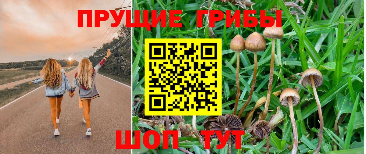 Галлюциногенные грибы мицелий  Каменск-Шахтинский 