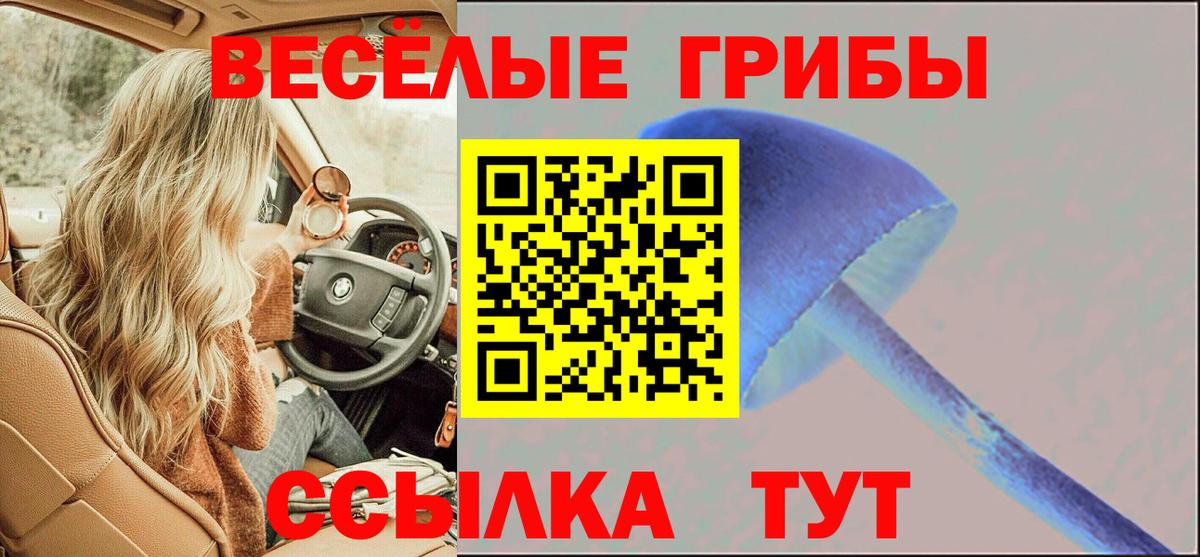 Галлюциногенные грибы GOLDEN TEACHER Каменск-Шахтинский